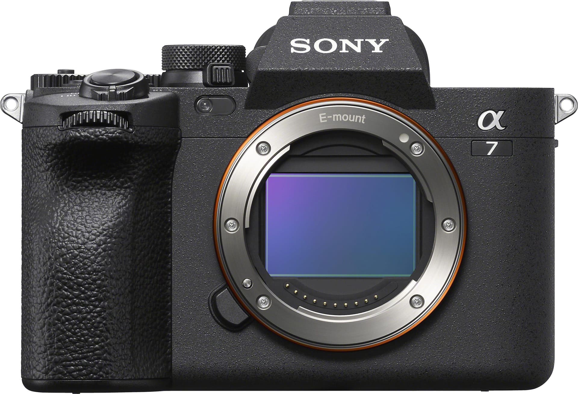 Sony Alpha a7 IV (no lens included)