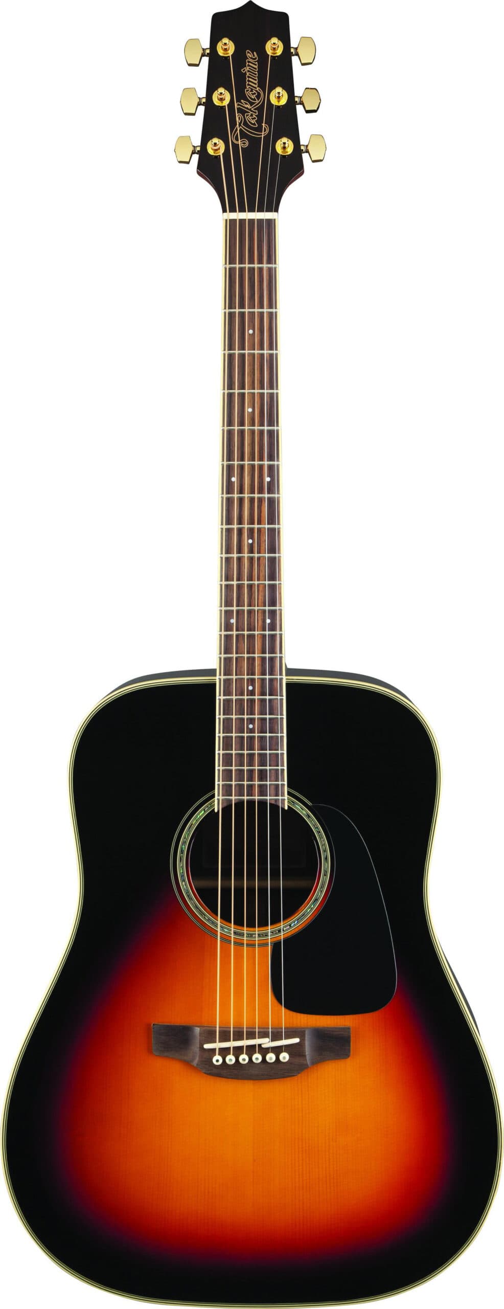 GD51 Acoustic Guitar
