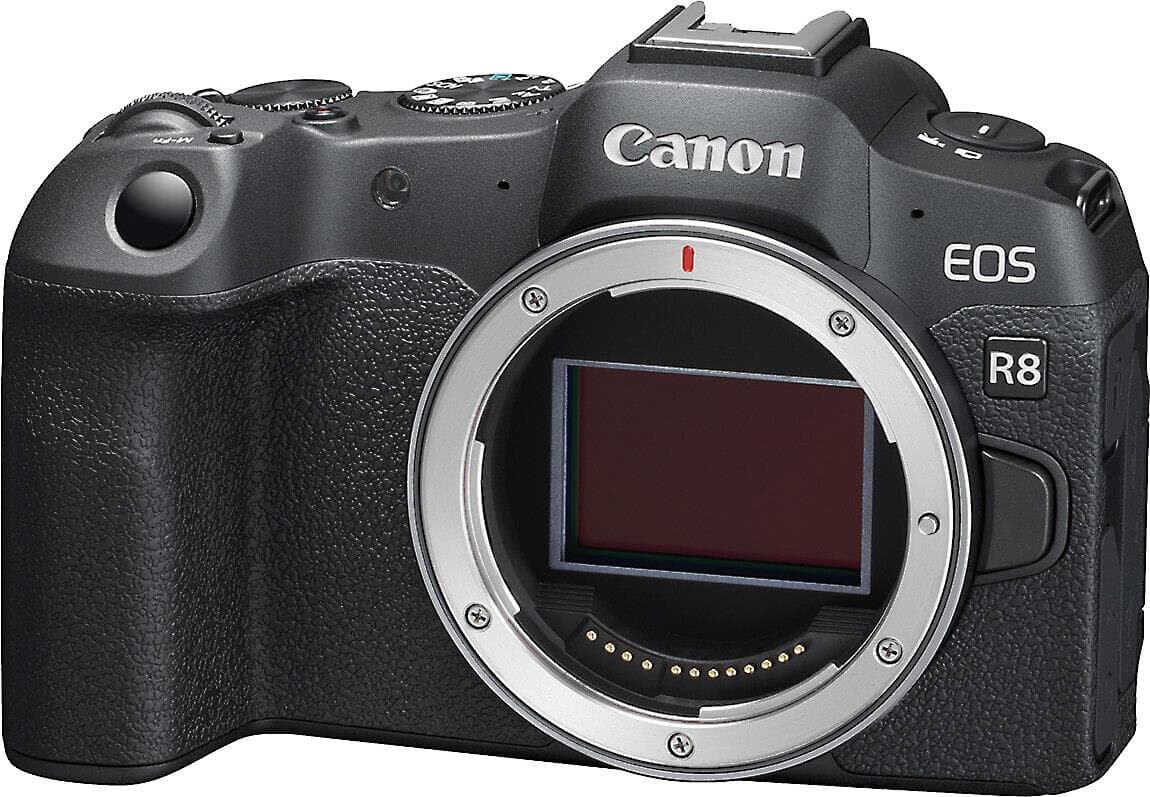 Canon EOS R8 (no lens included)