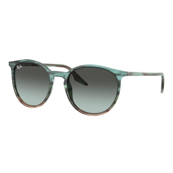 RB2204 Sunglasses