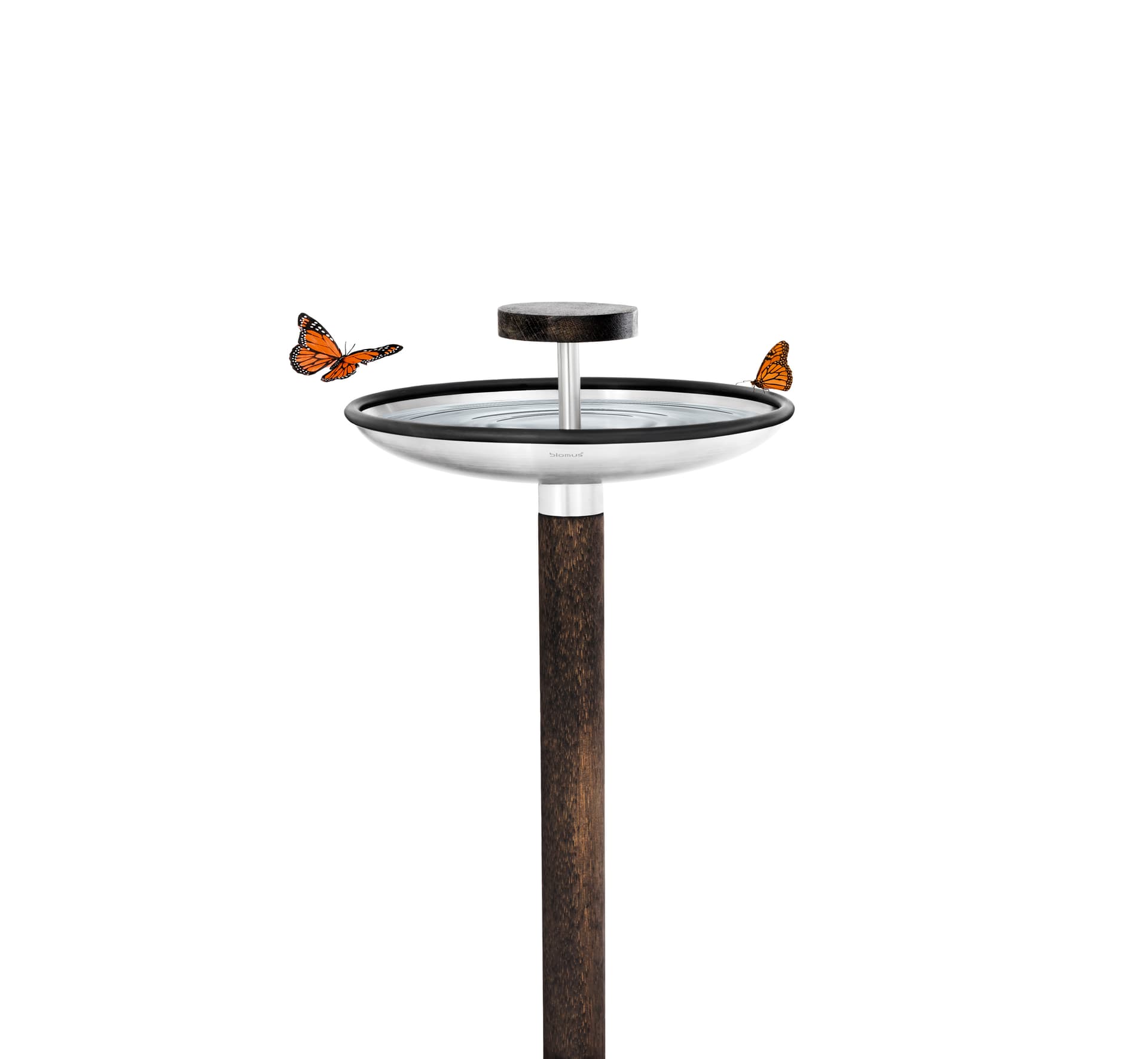 FUERA - Bird Feeder/Bird Bath