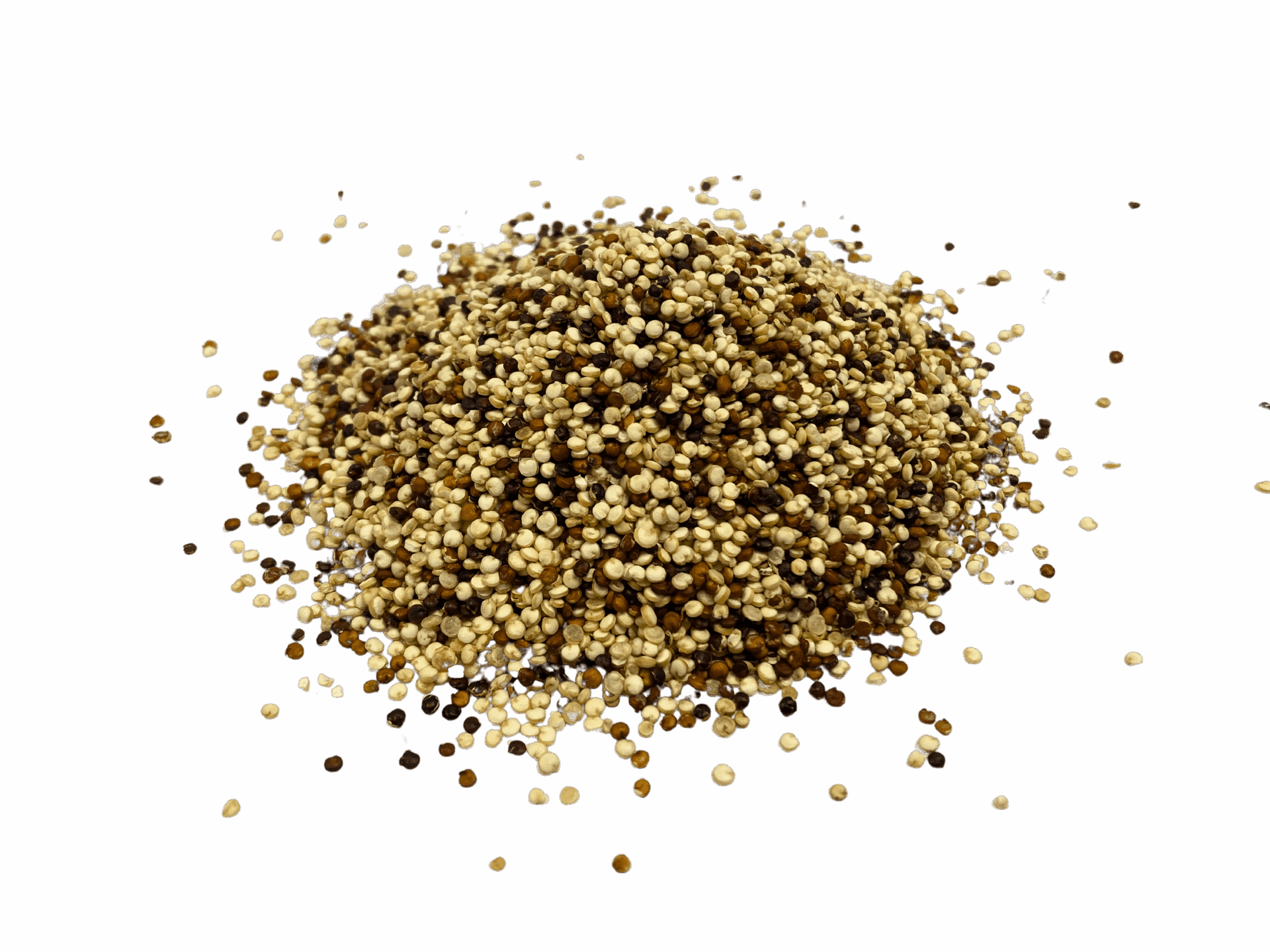 Tri-Color Quinoa, Organic - 55 lb