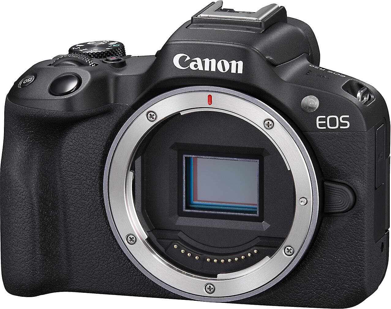 Canon EOS R50 (no lens included)
