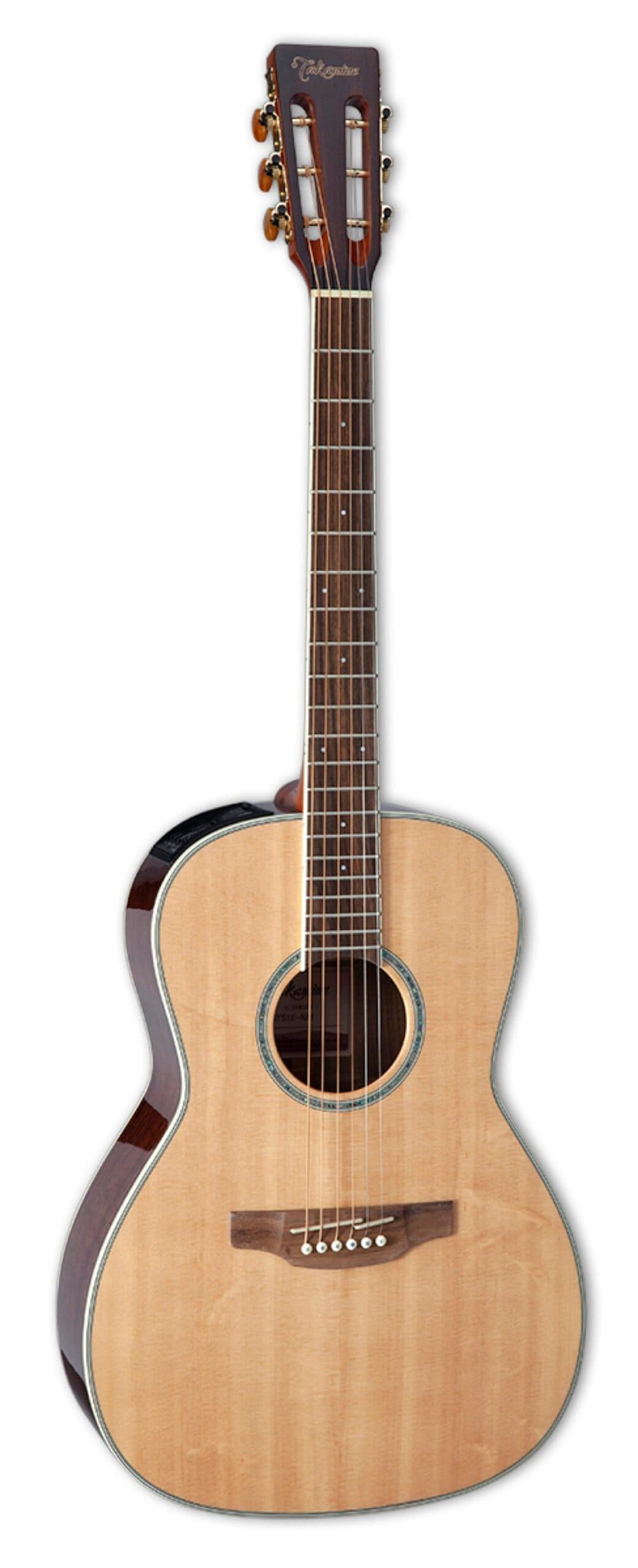 New Yorker Acoustic- Electric Guitar