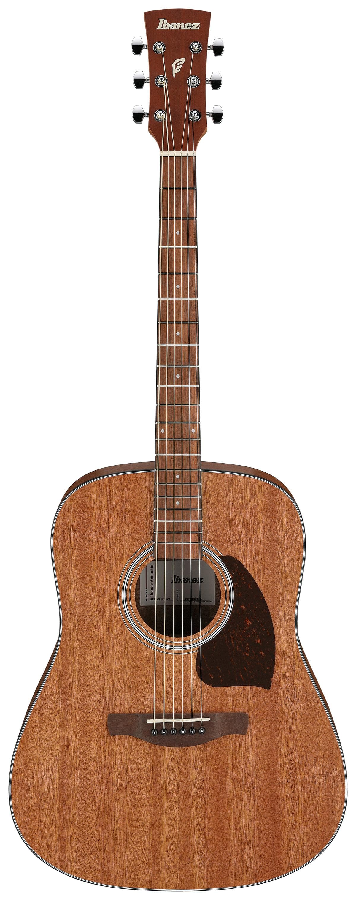 PF54 Acoustic Guitar