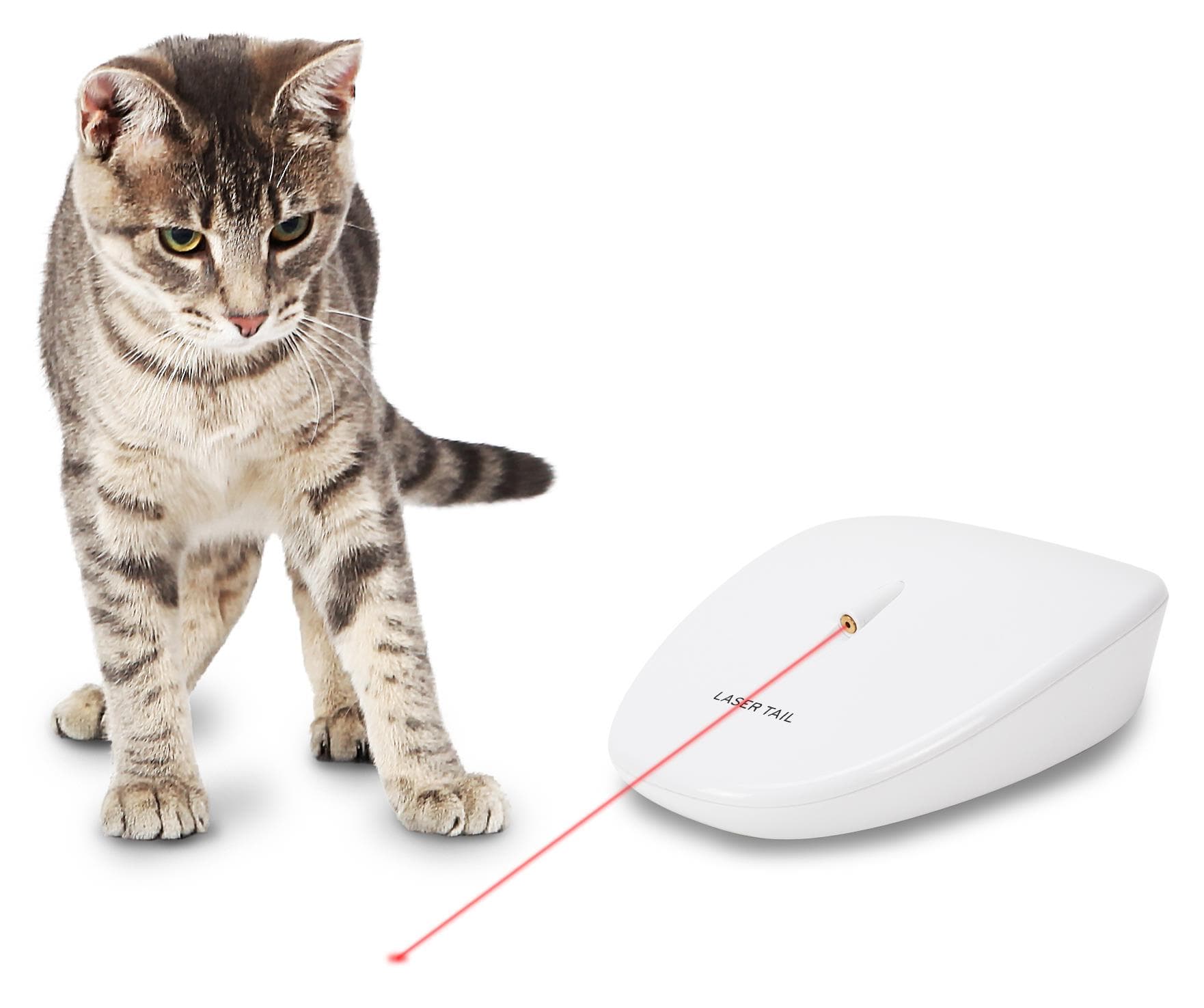 Laser Tail Automatic Laser Light