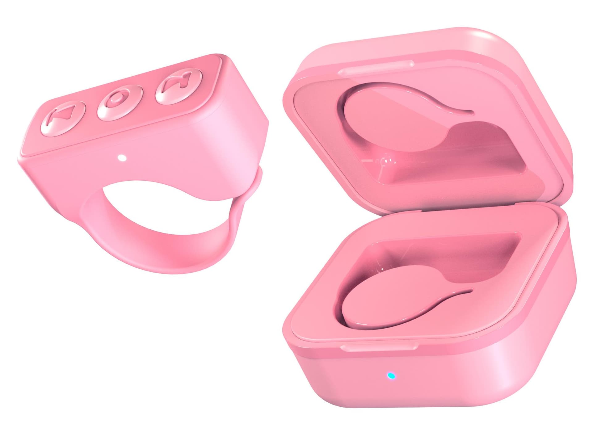 TikTok Ring Light w/ Charging Case