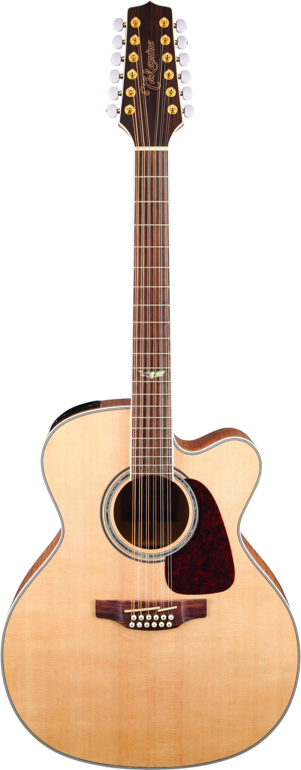 12-String Acoustic-Electric Guitar
