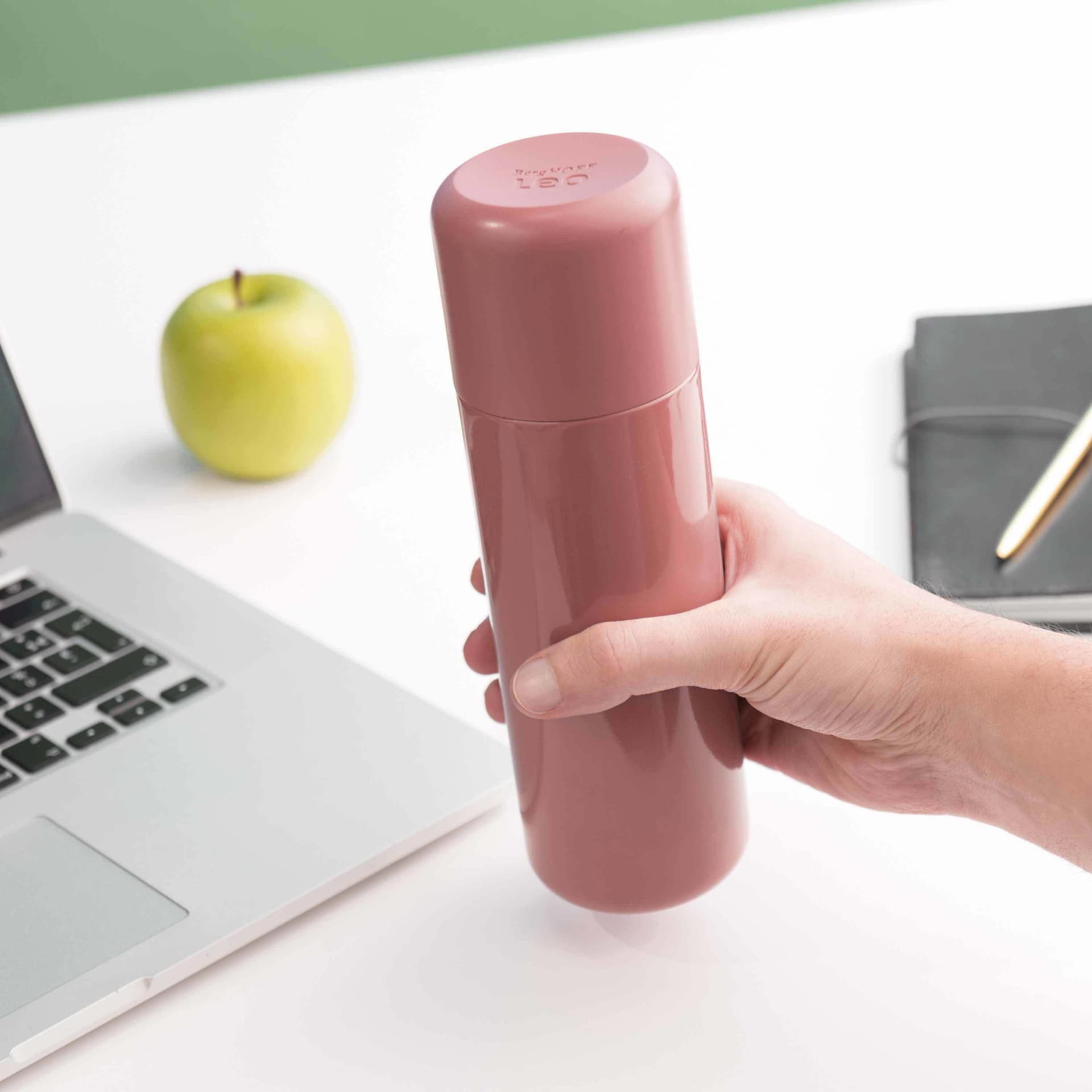Leo Thermal Flask 16.9oz, Pink
