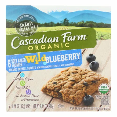 Organic Blueberry Baked Oat Squares 6 ct