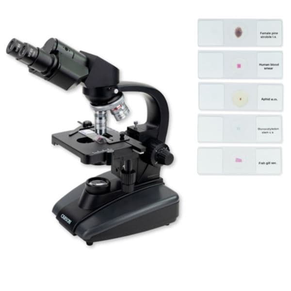 Advanced Compound Microscope Bundle with 5 Prepared Slides