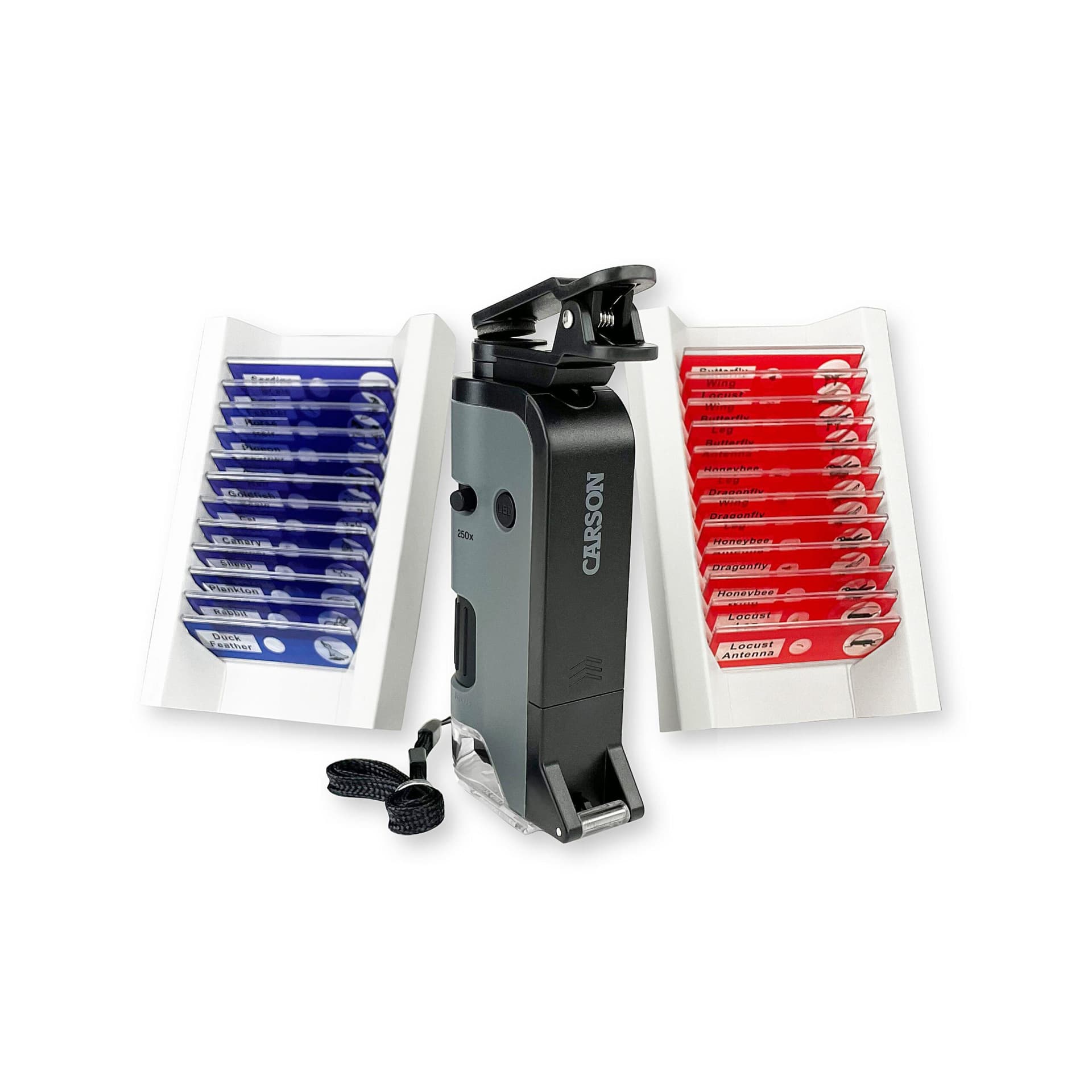 Microflip Bundle with 24 Prepared Insect and Animal Slides