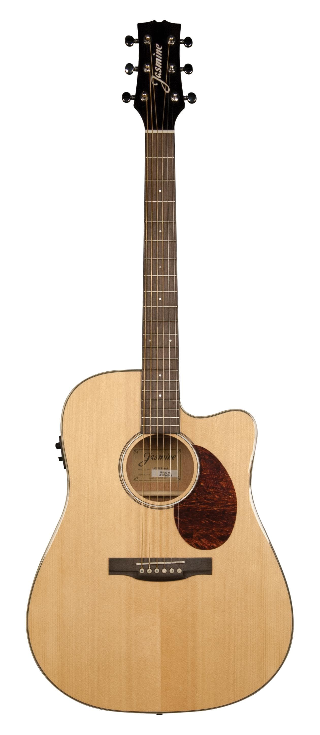 J Series Acoustic-Electric Guitar