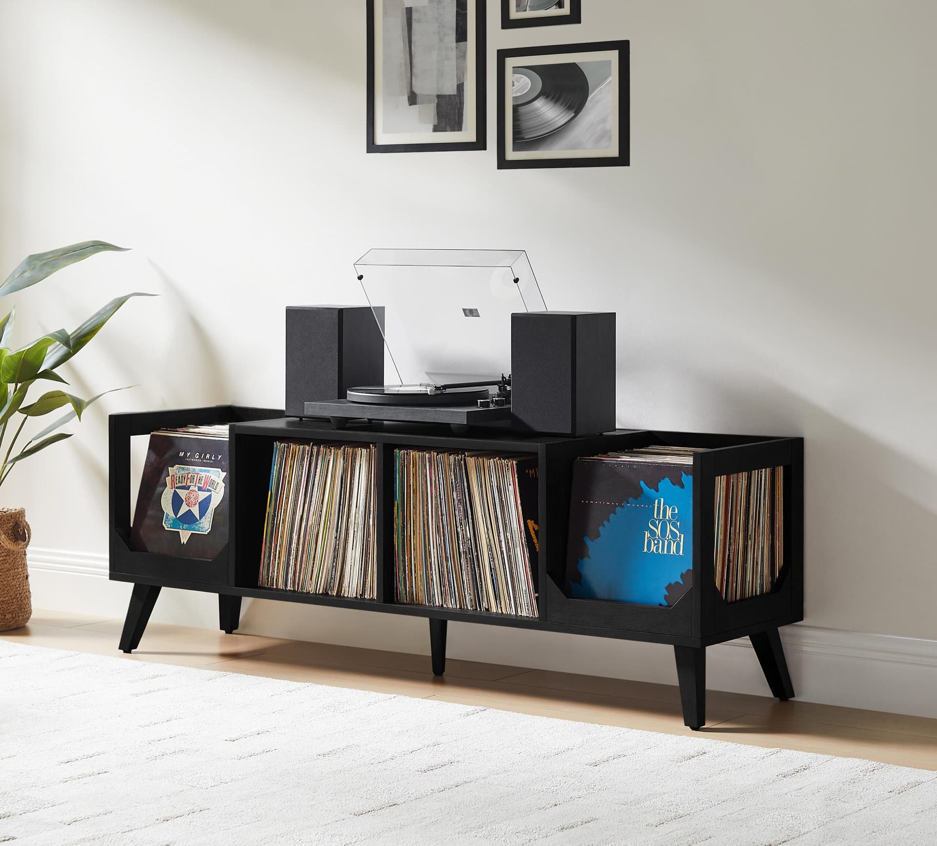Asheville Low Record Storage Console