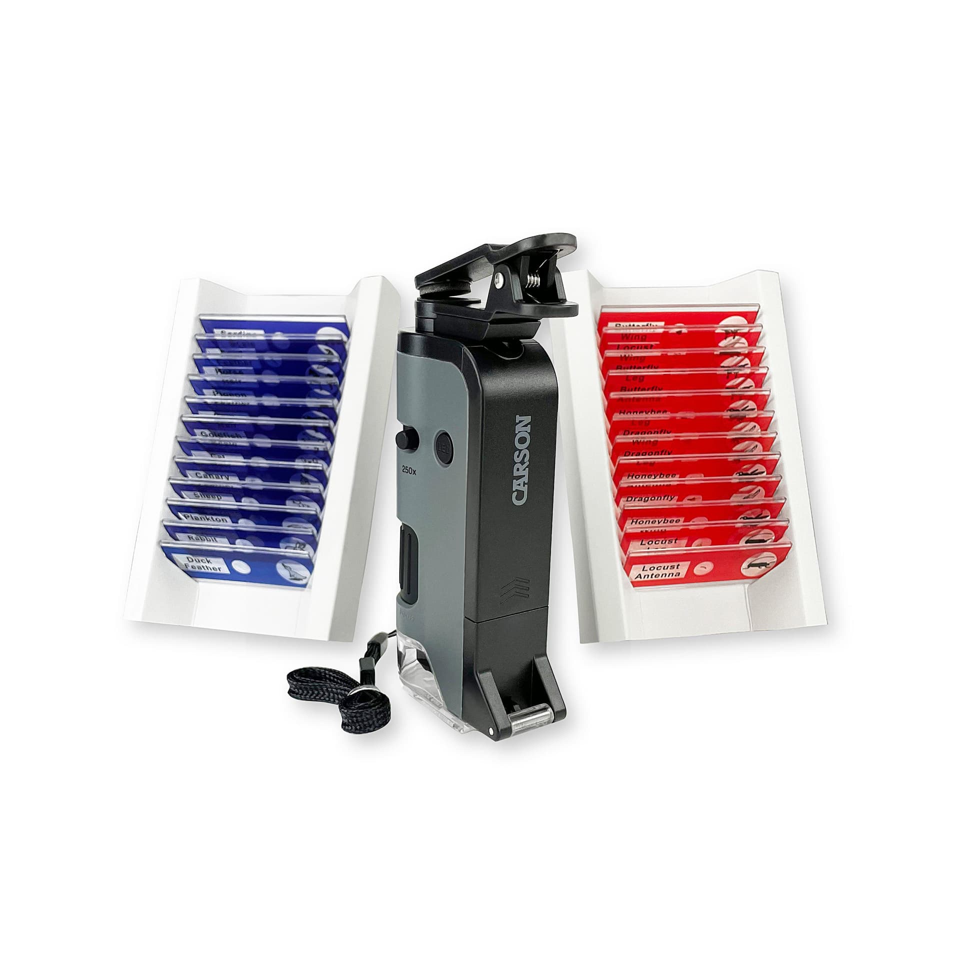 Microflip Bundle with 24 Prepared Insect and Animal Slides