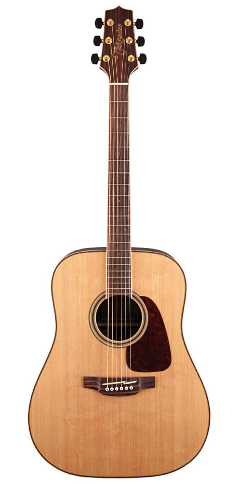 GD93 Acoustic Guitar