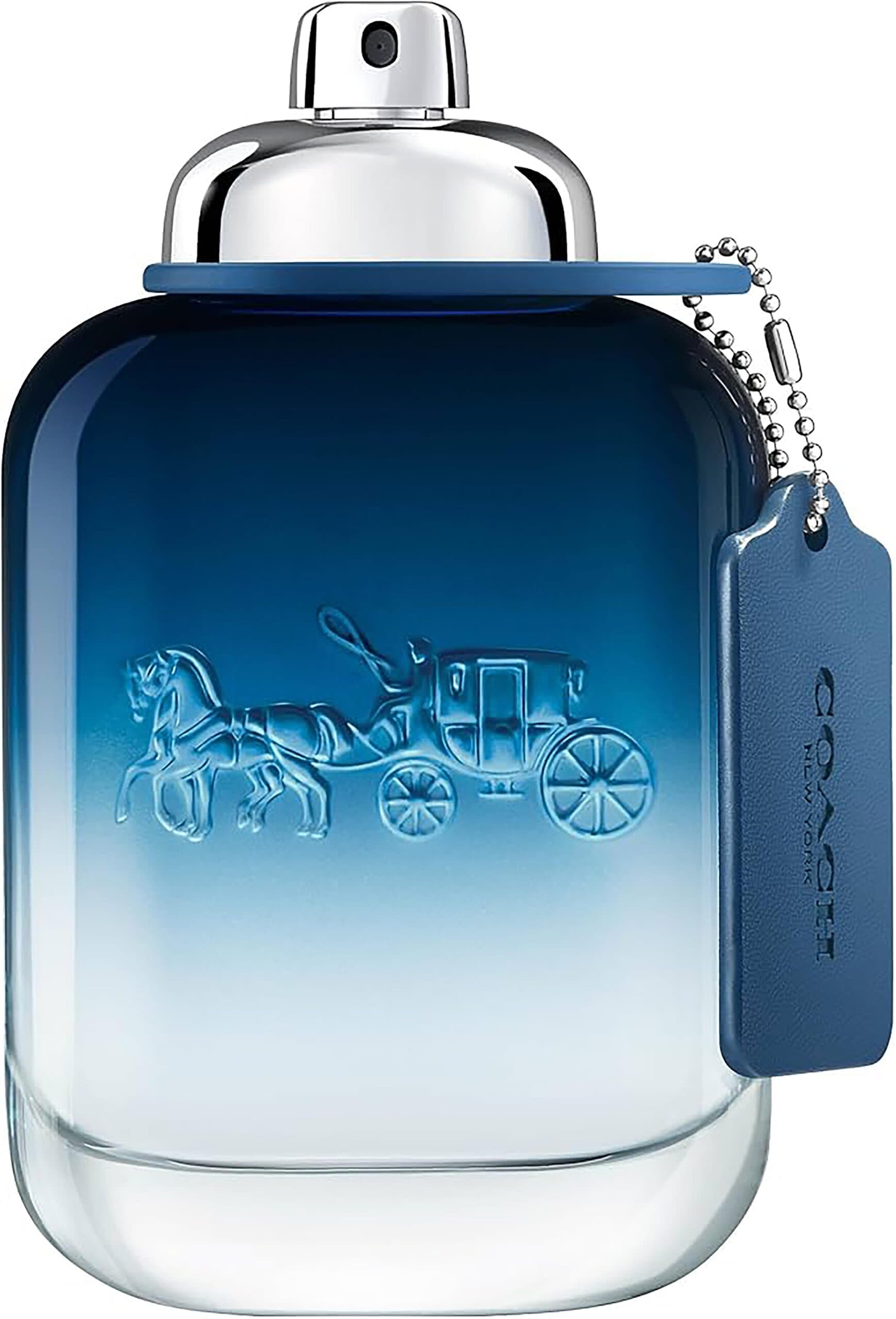 BLUE for Men Eau de Toilette Spray Size 3.4oz