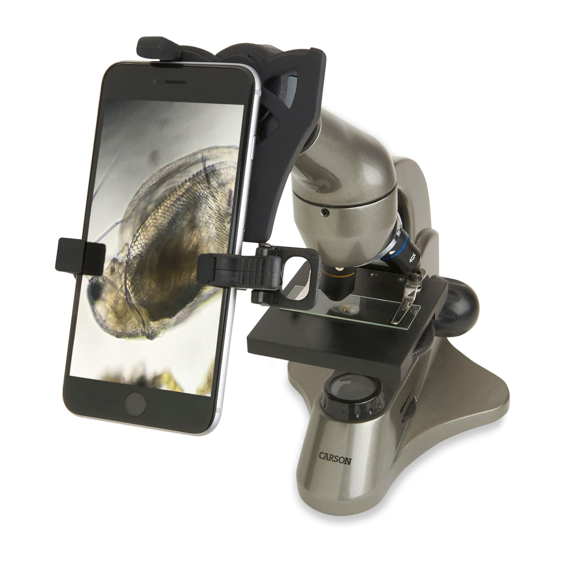 Beginner Compound Microscope with Smartphone Adapter