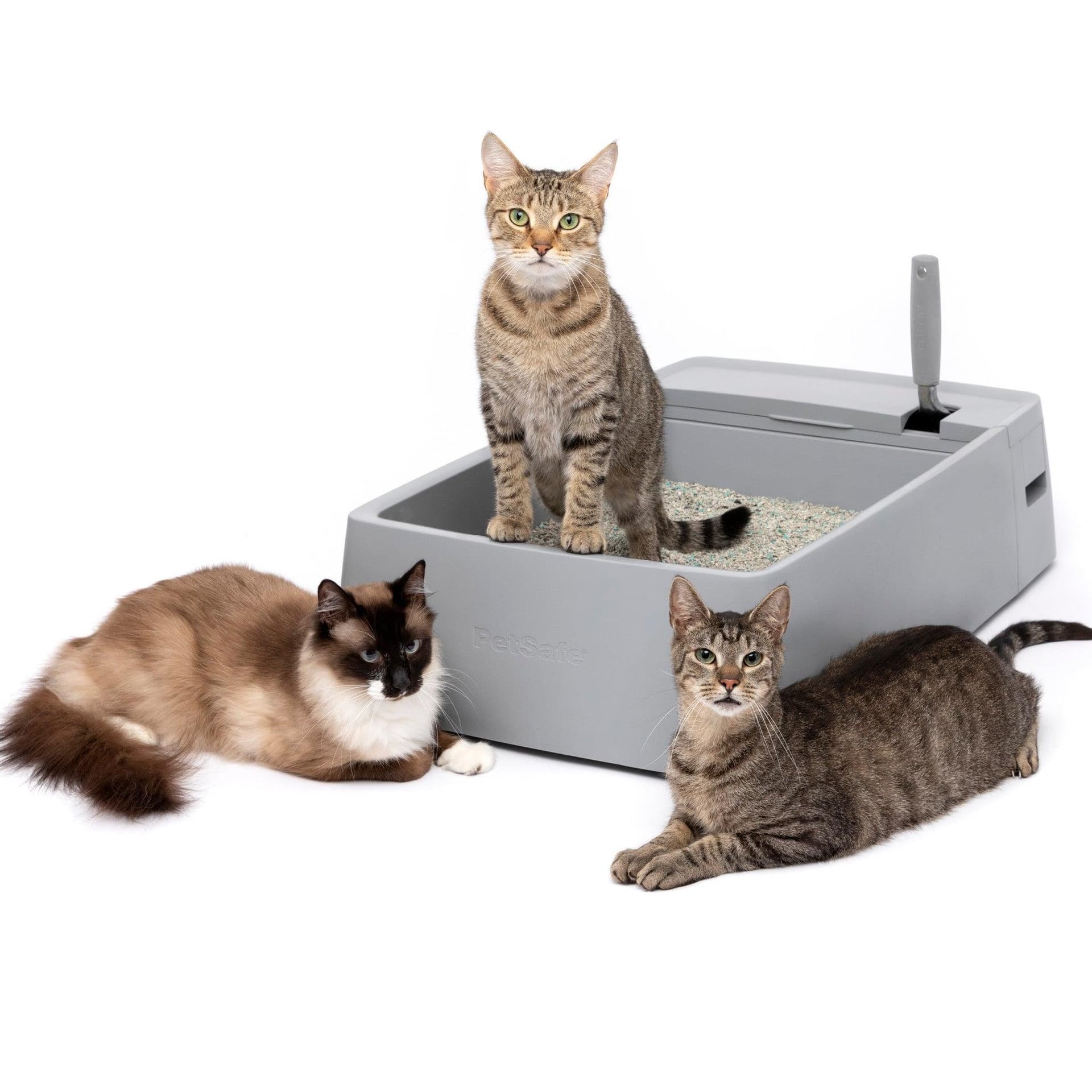 Multi-Cat Plastic Litter Box