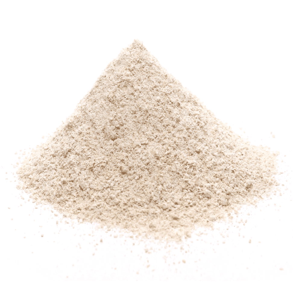 Barley Flour, Organic - 25 lb
