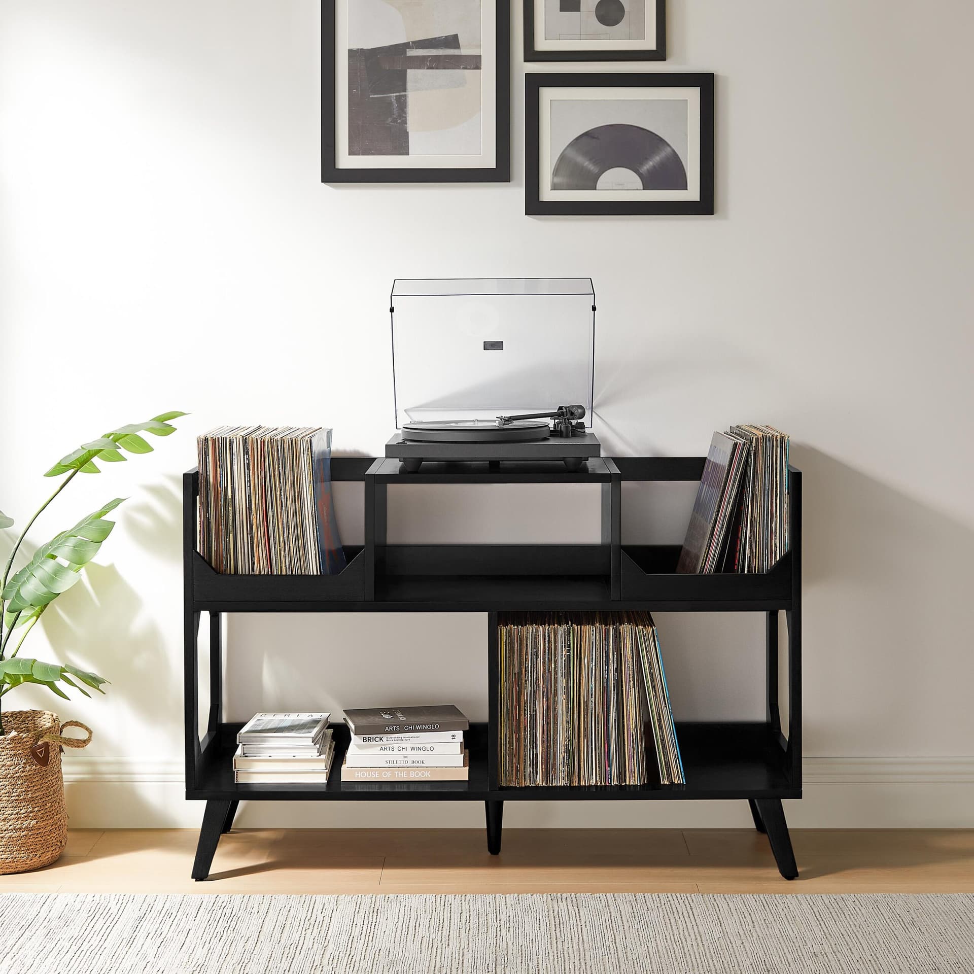 Asheville Large Record Storage Console
