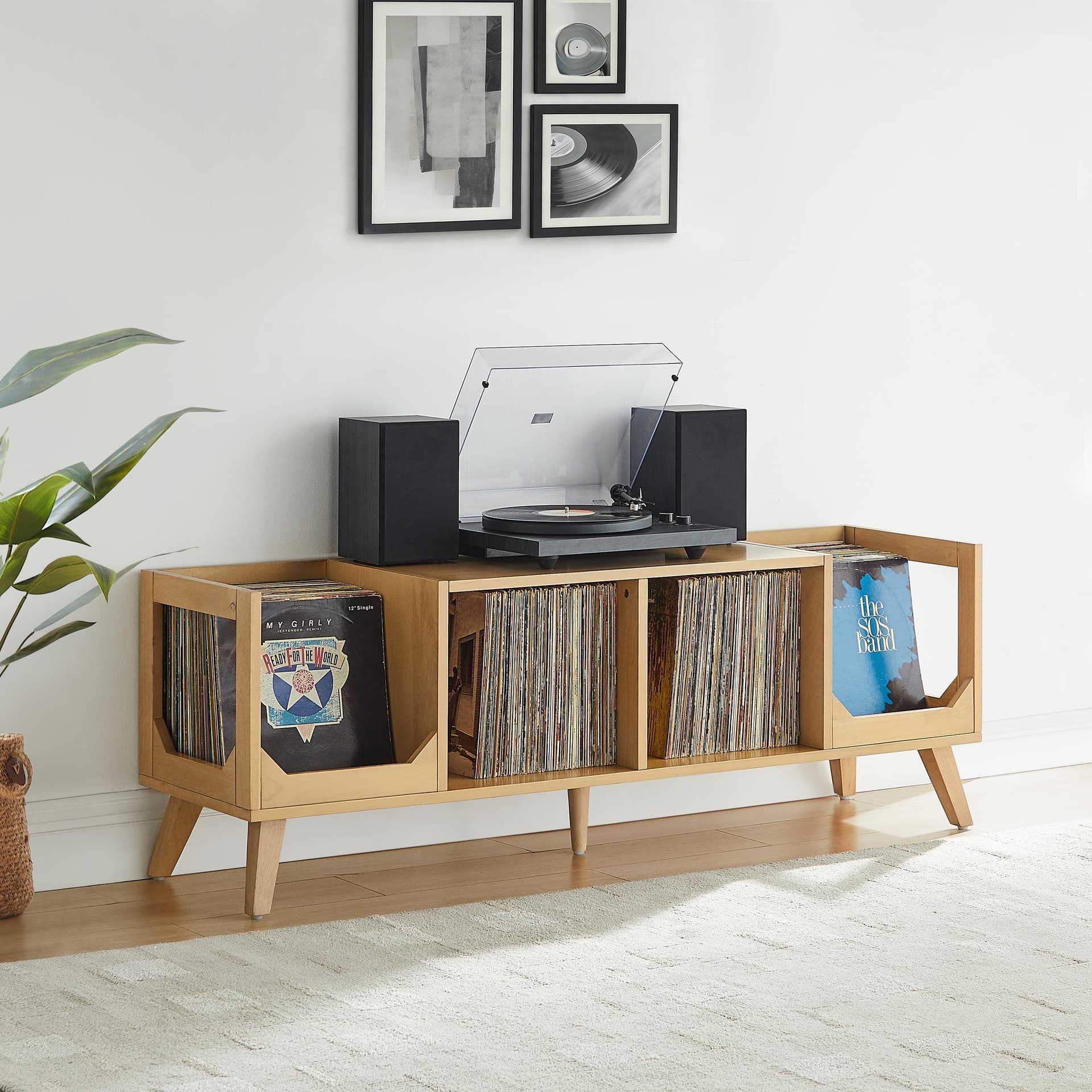 Asheville Low Record Player Stand With Vinyl Storage