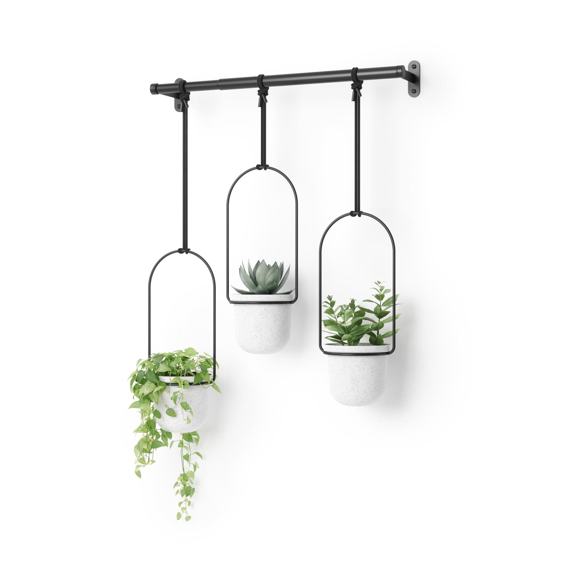 Triflora Hanging Planter White/Black