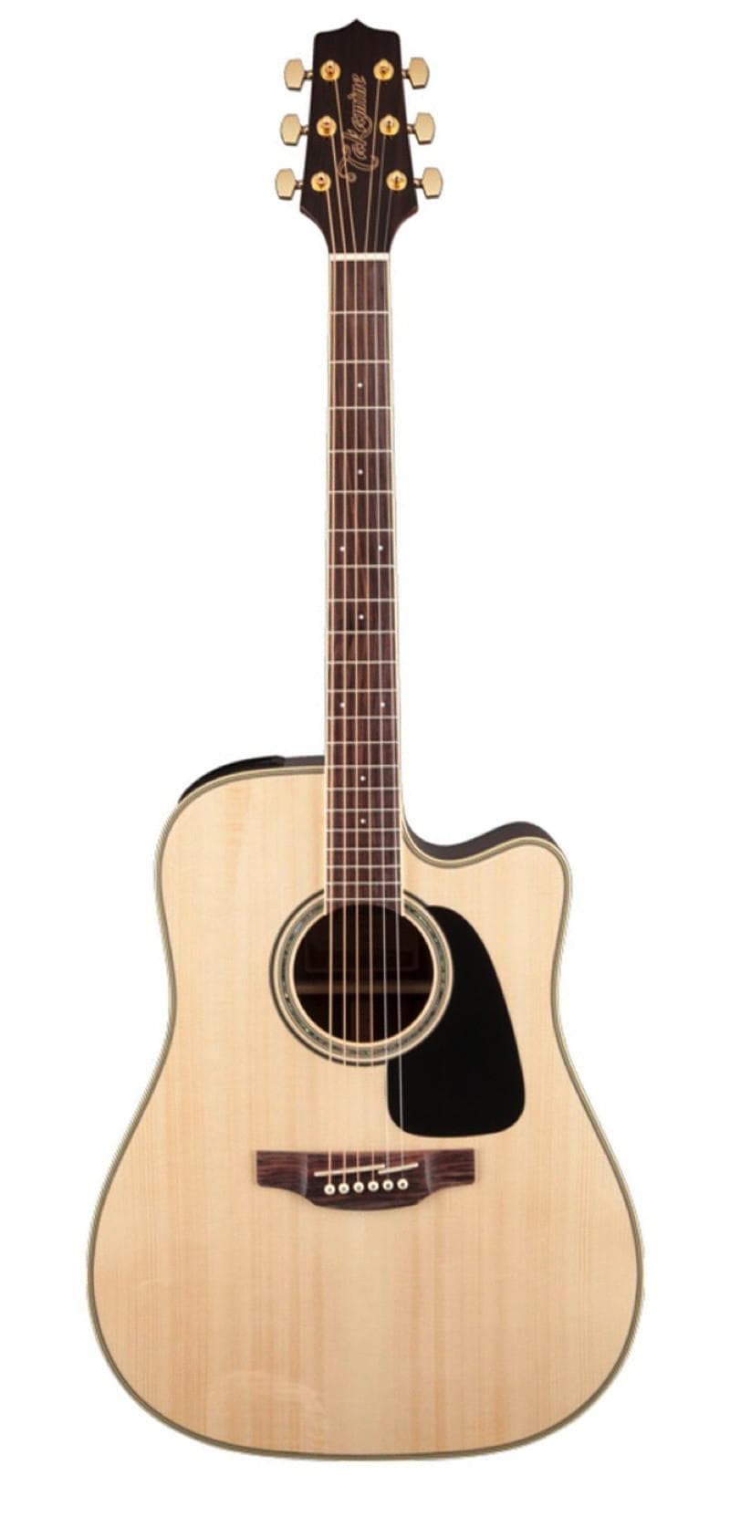 GD51 Acoustic-Electric Guitar