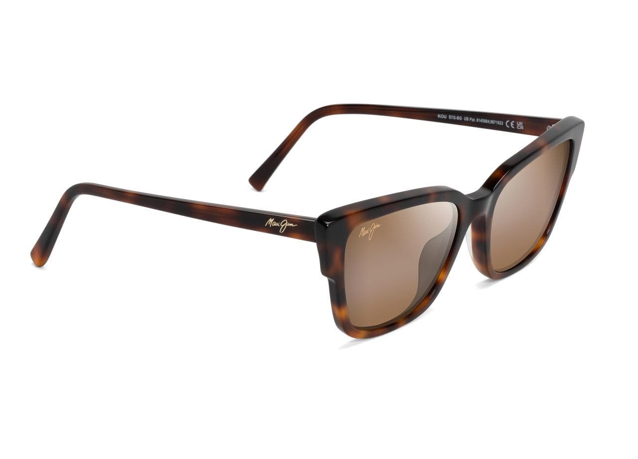 Kou Polarized Sunglasses Tortoise Frame HCL Bronze Lens