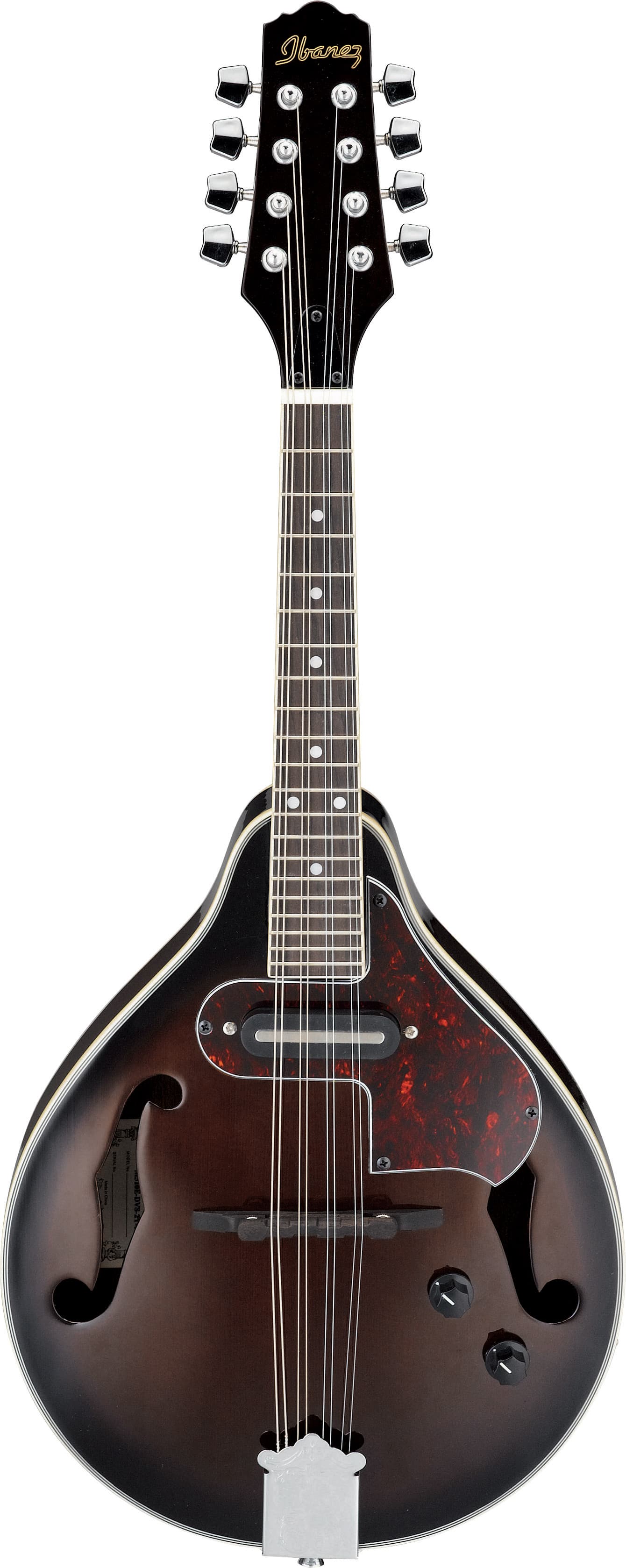 M510E A-Style Acoustic Electric Mandolin