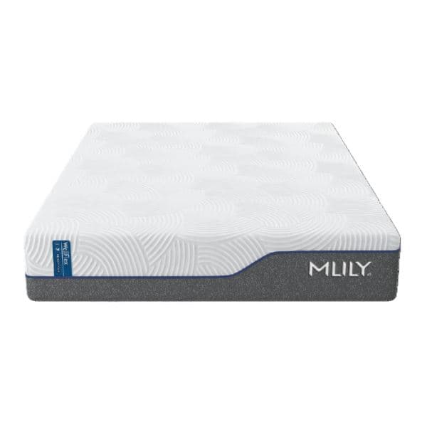 WellFlex 1.0 12-Inch Firm Mattress - Twin
