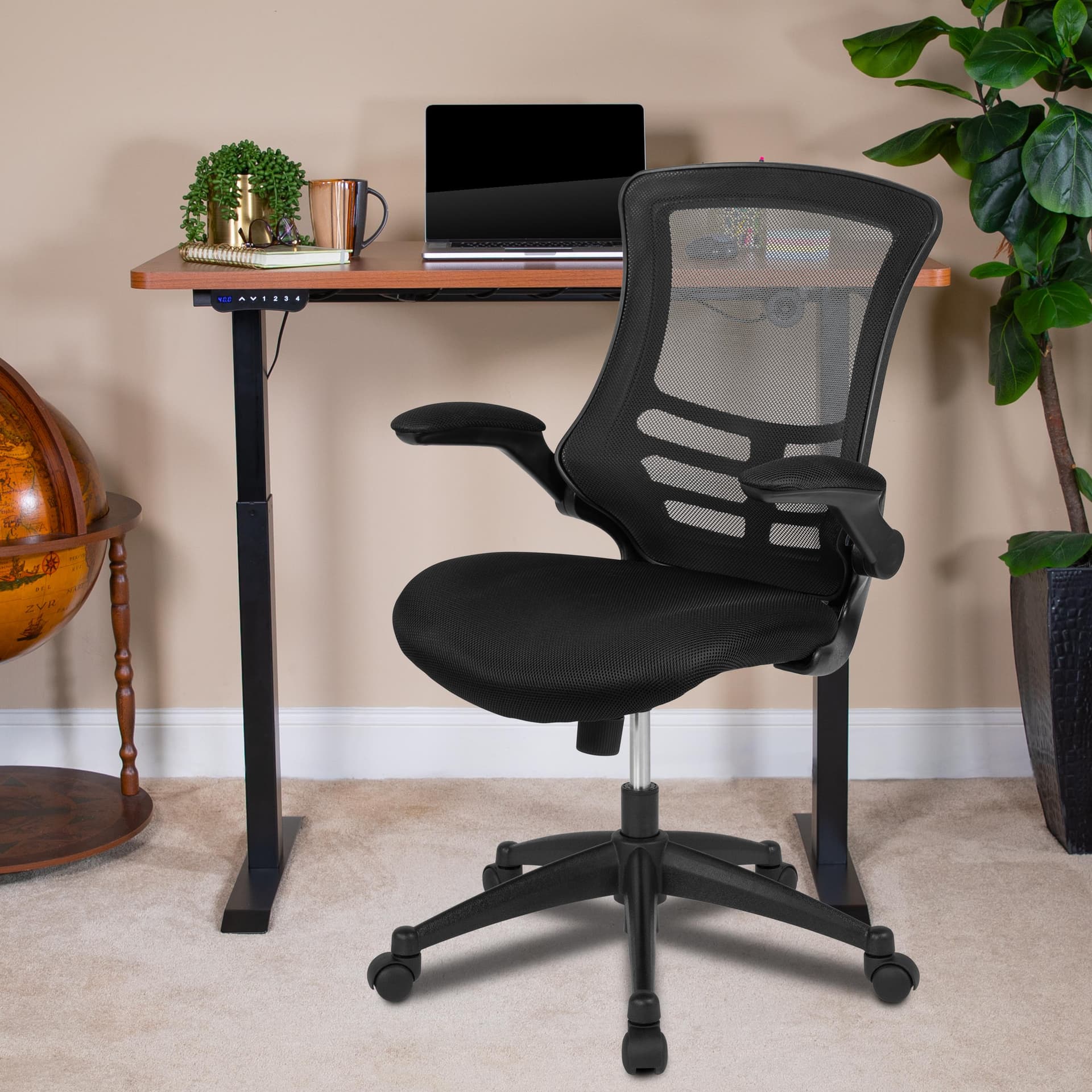 Mahogany Electric Height Adjustable Standing Desk with Mesh Executive Chair