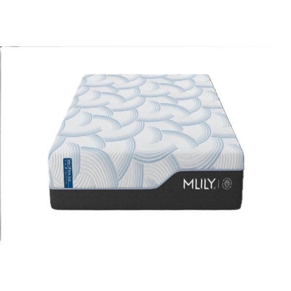 WellFlex Ice 3.0 14-Inch Plush Mattress - California King
