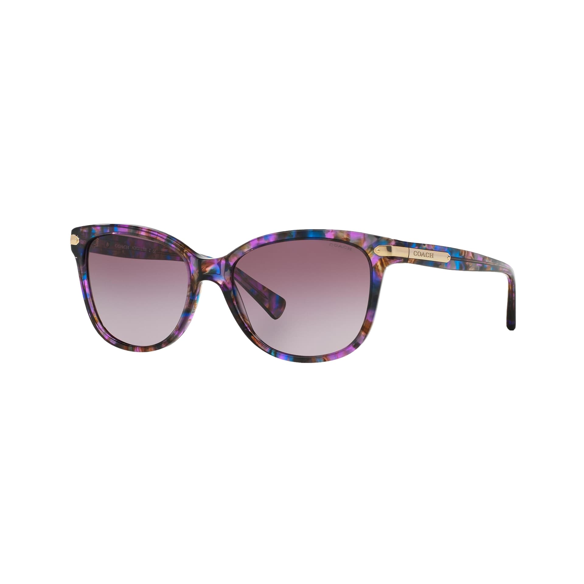 Women's HC8132 Sunglasses
