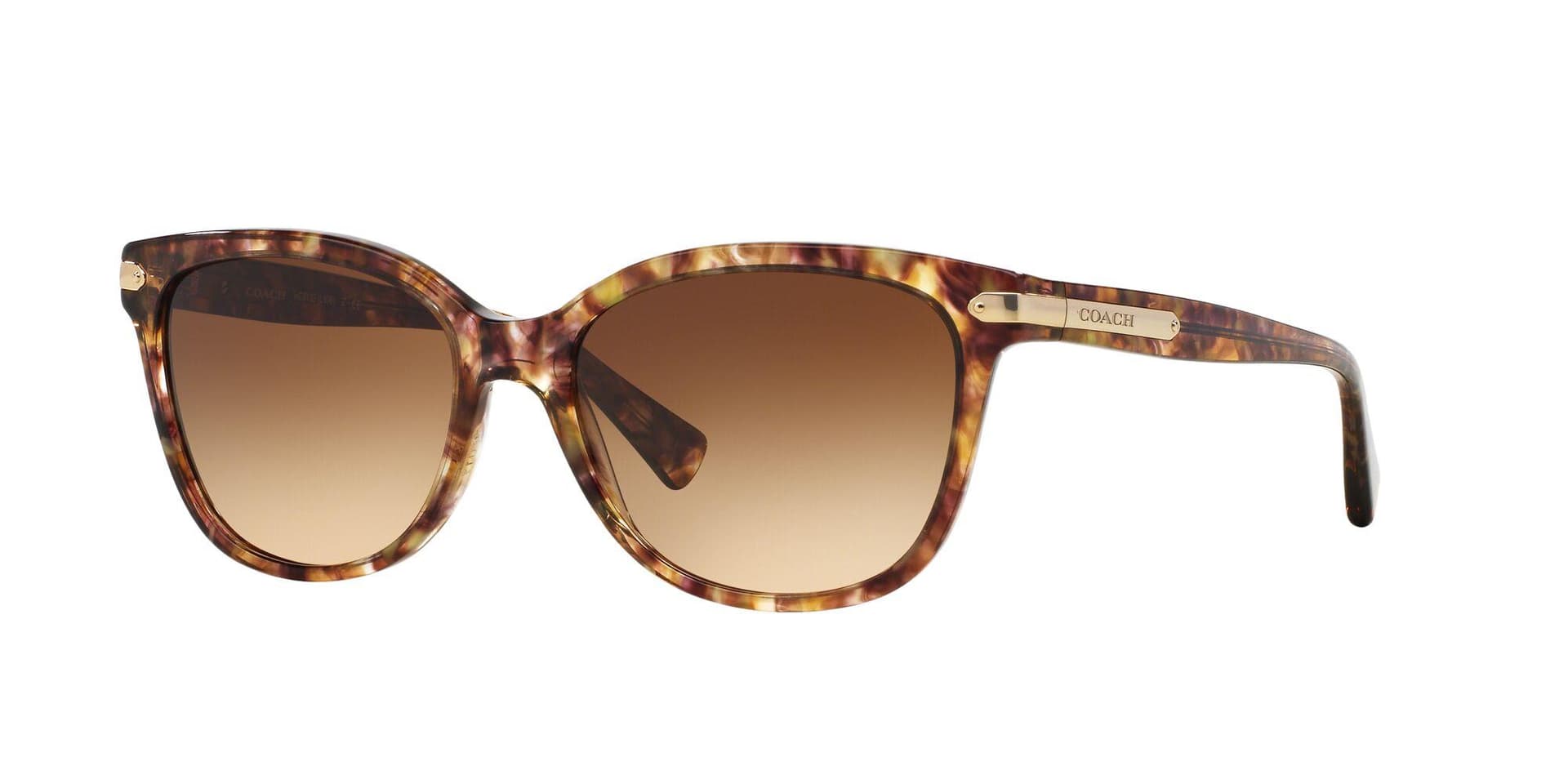 Women's Sunglasses - Multi/Brown