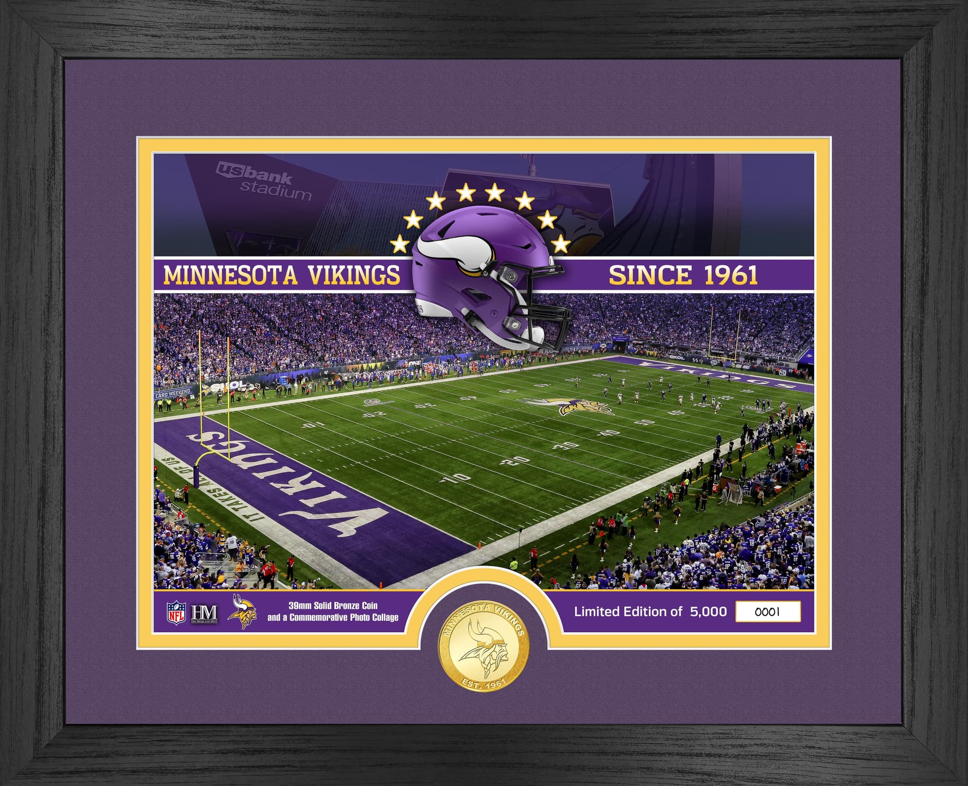 Minnesota Vikings Stadium Photo Mint